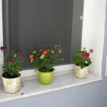 Sahil Homestay szállás Bodrum